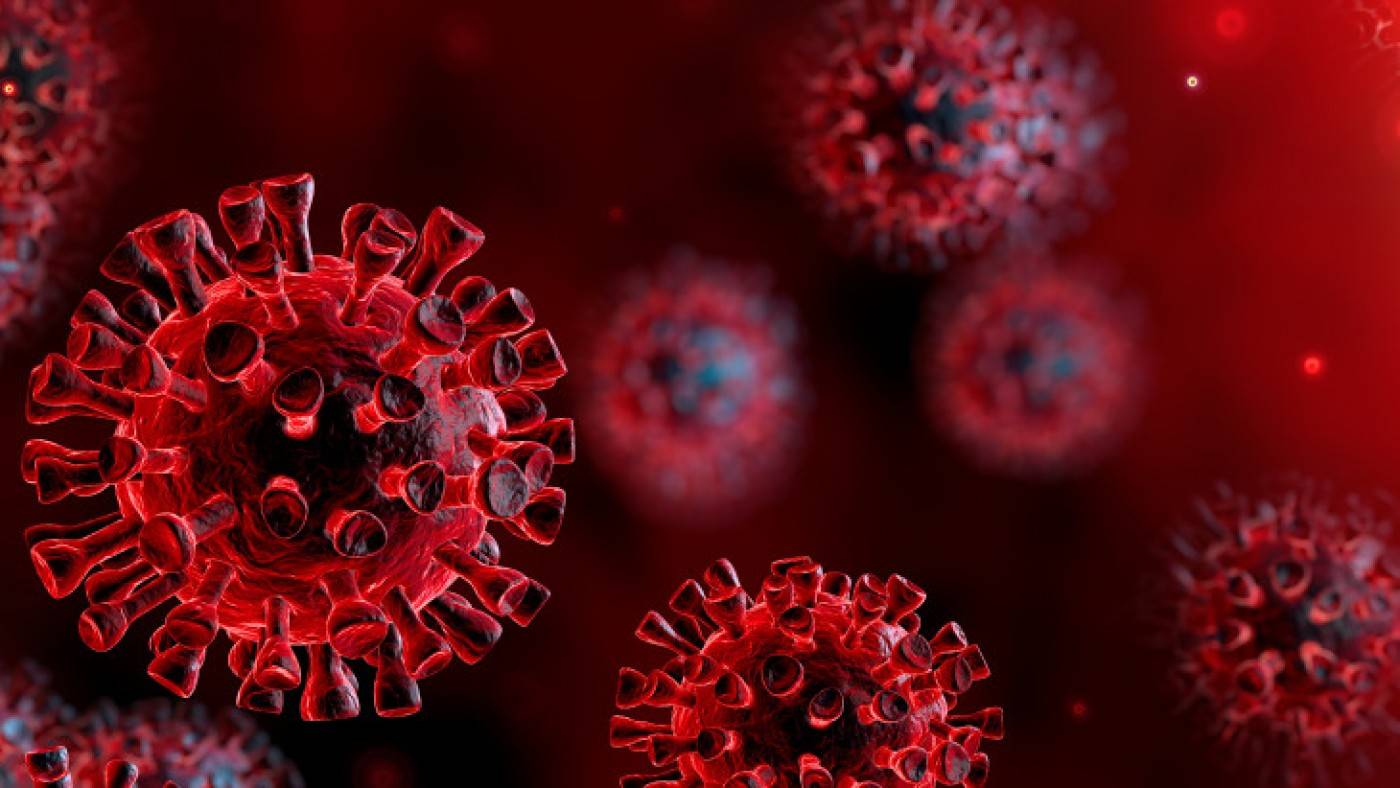 /media/clanok/obrazok_koronavirus-stopol-natl_1584705259.jpg